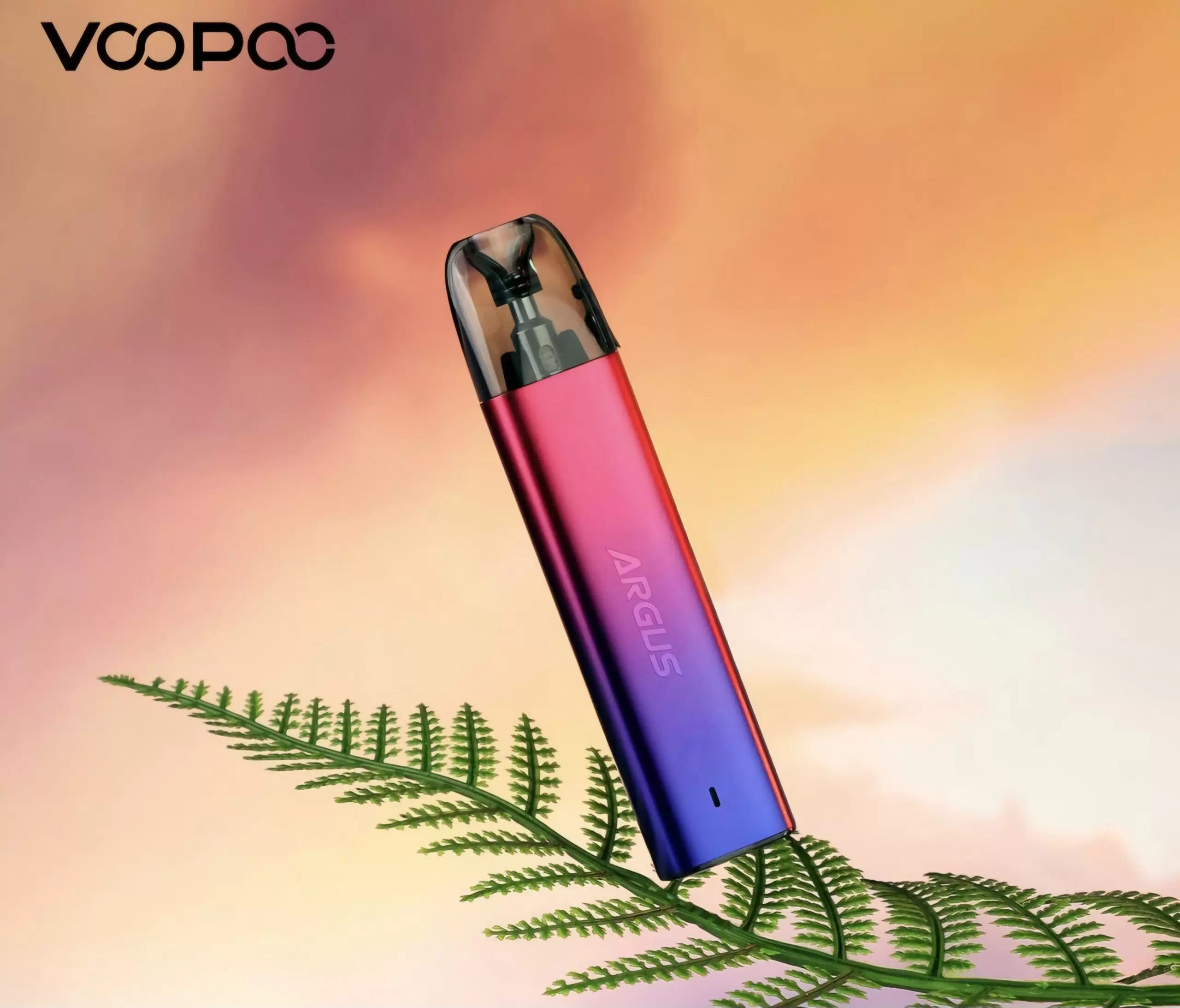 IMG_3329 VOOPOO ARGUS G2 mini|阿格斯小煙主機
